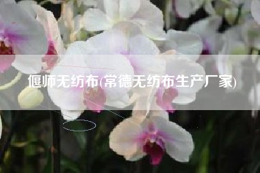 偃师<a href='/' target='_blank' title='无纺布' ><strong>无纺布</strong></a>(常德无纺布生产厂家)