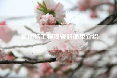 氧化锆工程陶瓷的简单介绍