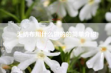 无纺布用什么做的的简单介绍