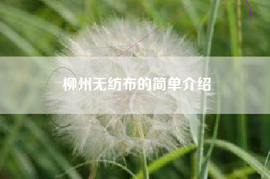 柳州无纺布的简单介绍