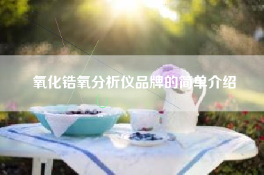 氧化锆氧分析仪品牌的简单介绍