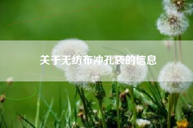 关于无纺布冲孔袋的信息