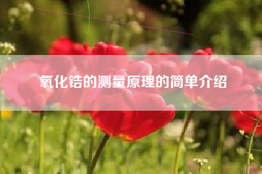氧化锆的测量原理的简单介绍