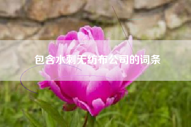 包含水刺无纺布公司的词条