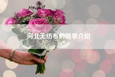 河北无纺布的简单介绍