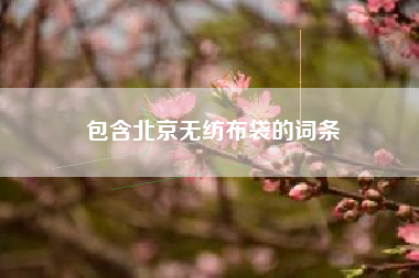 包含北京无纺布袋的词条
