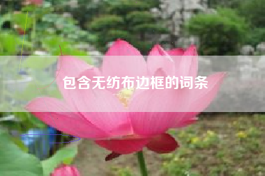 包含无纺布边框的词条