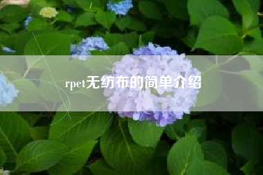 rpet无纺布的简单介绍