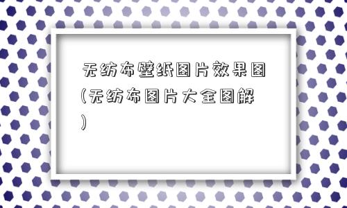 无纺布壁纸图片效果图(无纺布图片大全图解)