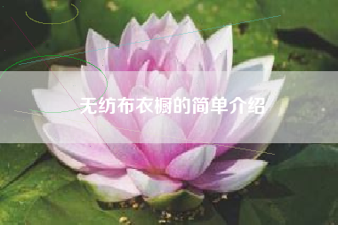 无纺布衣橱的简单介绍