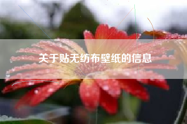 关于贴无纺布壁纸的信息