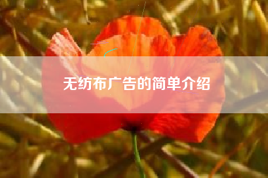 无纺布广告的简单介绍