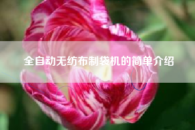 全自动无纺布制袋机的简单介绍