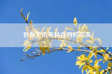 包含无纺布粘合剂的词条