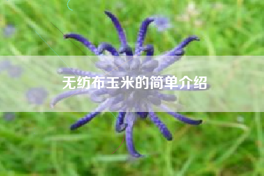 无纺布玉米的简单介绍