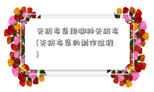 无纺布袋用哪种无纺布(无纺布袋的制作过程) 无纺布袋用哪种无纺布(无纺布袋的制作过程)