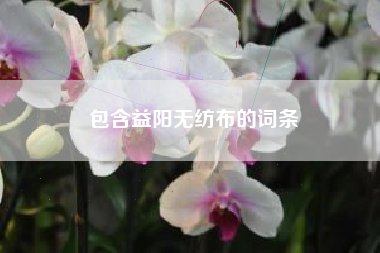 包含益阳无纺布的词条