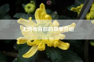 无纺布背胶的简单介绍