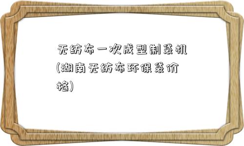 无纺布一次成型制袋机(湖南无纺布环保袋价格)