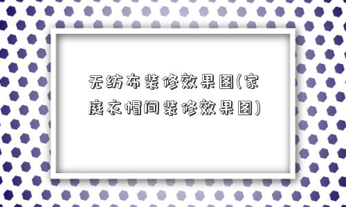 无纺布装修效果图(家庭衣帽间装修效果图)