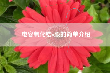 电容氧化锆a股的简单介绍