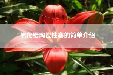 氧化锆陶瓷柱塞的简单介绍