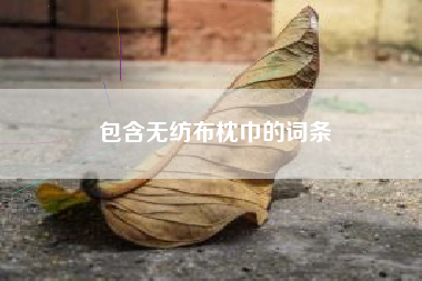 包含无纺布枕巾的词条