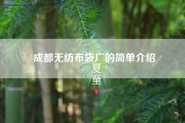 成都无纺布袋厂的简单介绍