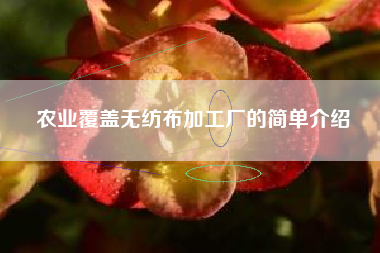 农业覆盖无纺布加工厂的简单介绍