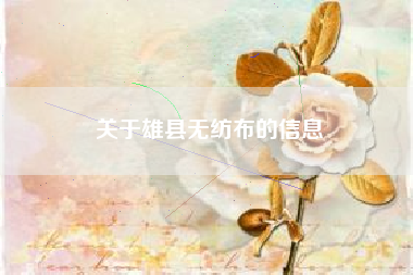 关于雄县无纺布的信息