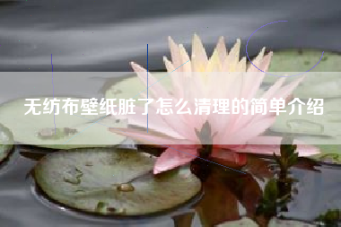 无纺布壁纸脏了怎么清理的简单介绍