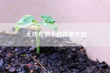无纺布烘干的简单介绍