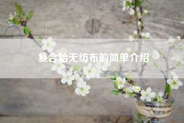 复合胎无纺布的简单介绍 复合胎无纺布的简单介绍