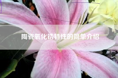 陶瓷氧化锆特性的简单介绍