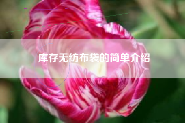 库存无纺布袋的简单介绍