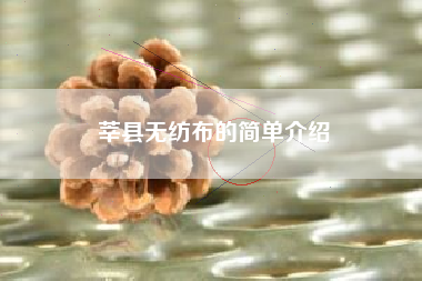 莘县无纺布的简单介绍