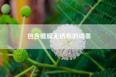 包含镀膜无纺布的词条