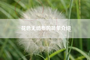 花色无纺布的简单介绍