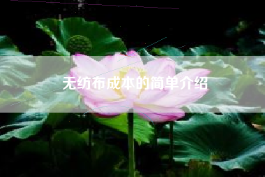 无纺布成本的简单介绍