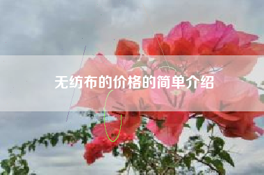 无纺布的价格的简单介绍