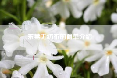 东莞无纺布的简单介绍