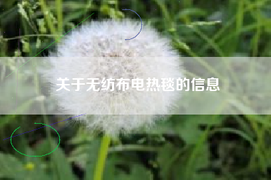 关于无纺布电热毯的信息