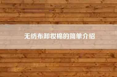 无纺布卸妆棉的简单介绍