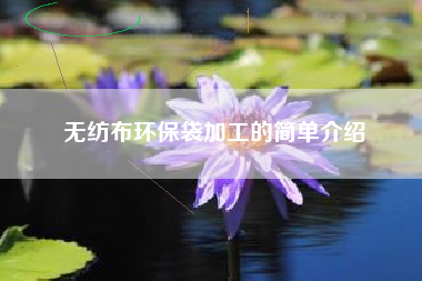 无纺布环保袋加工的简单介绍