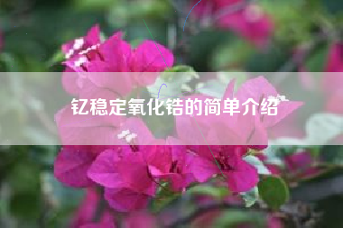 钇稳定氧化锆的简单介绍