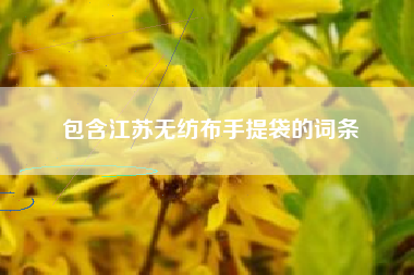 包含江苏无纺布手提袋的词条