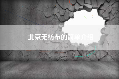 北京无纺布的简单介绍