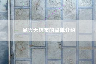 品兴无纺布的简单介绍