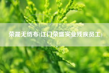 荣晟无纺布(江门荣盛实业残疾员工) 荣晟无纺布(江门荣盛实业残疾员工)