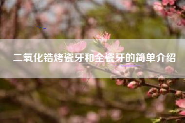 二氧化锆烤瓷牙和全瓷牙的简单介绍